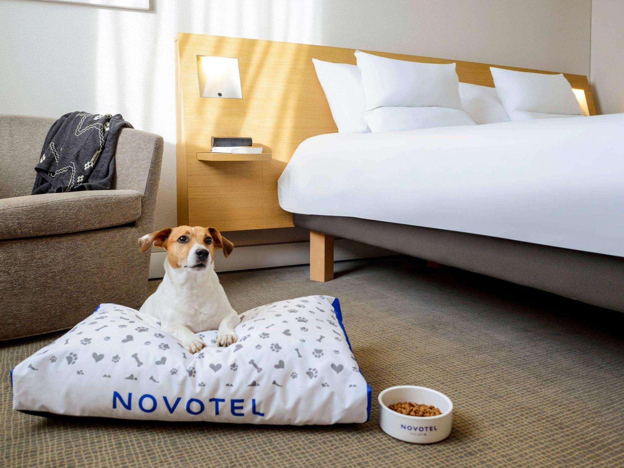 Novotel Milano Malpensa Aeroporto Cardano Al Campo Esterno foto