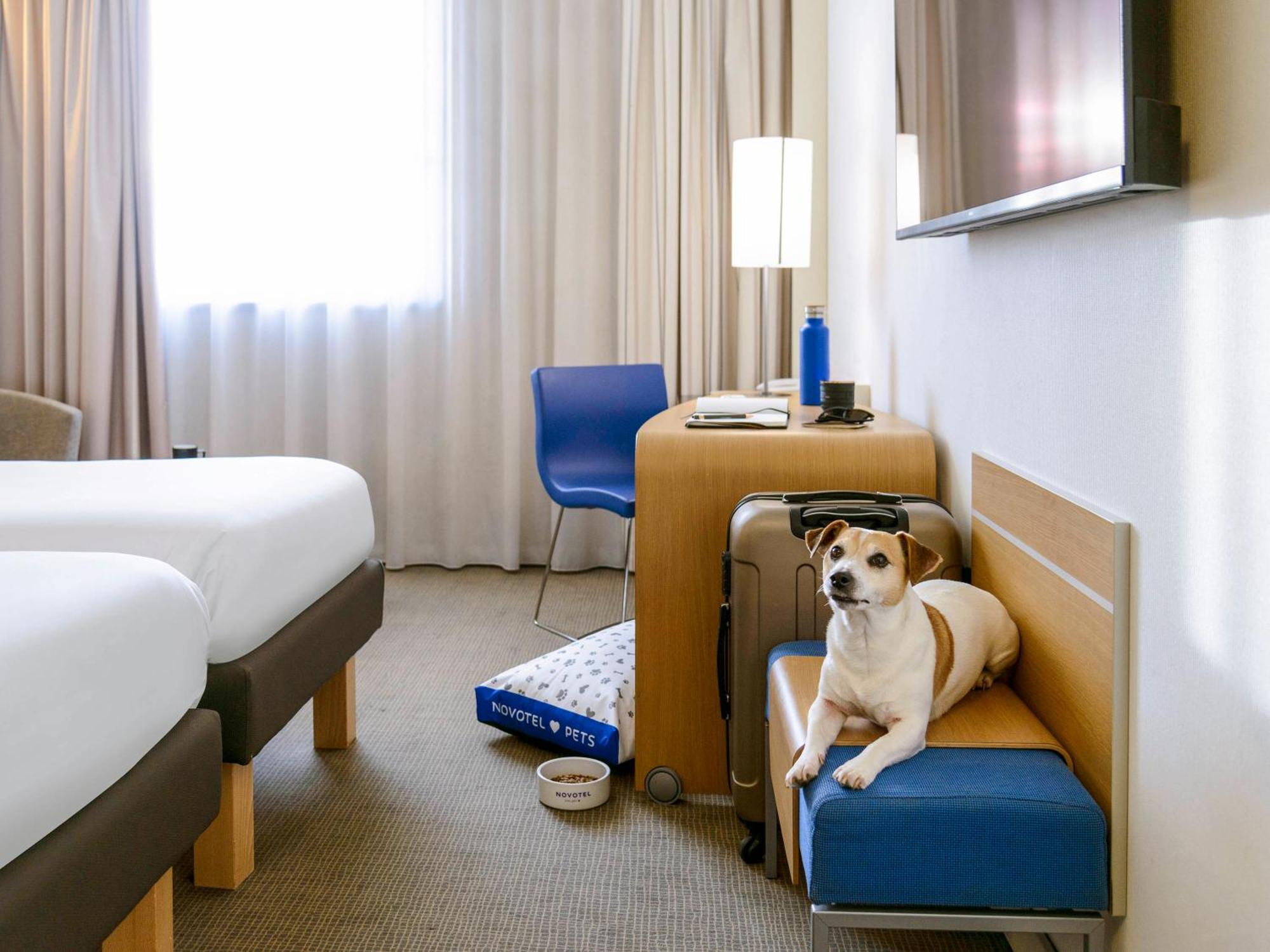 Novotel Milano Malpensa Aeroporto Cardano Al Campo Esterno foto